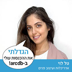 טל לוי - אדריכלות ועיצוב פנים